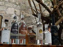 Avanzan preparativos para el 5to. Encuentro Nacional del Mezcal 2018